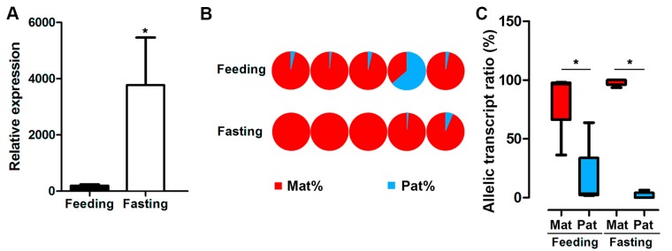 Figure 5