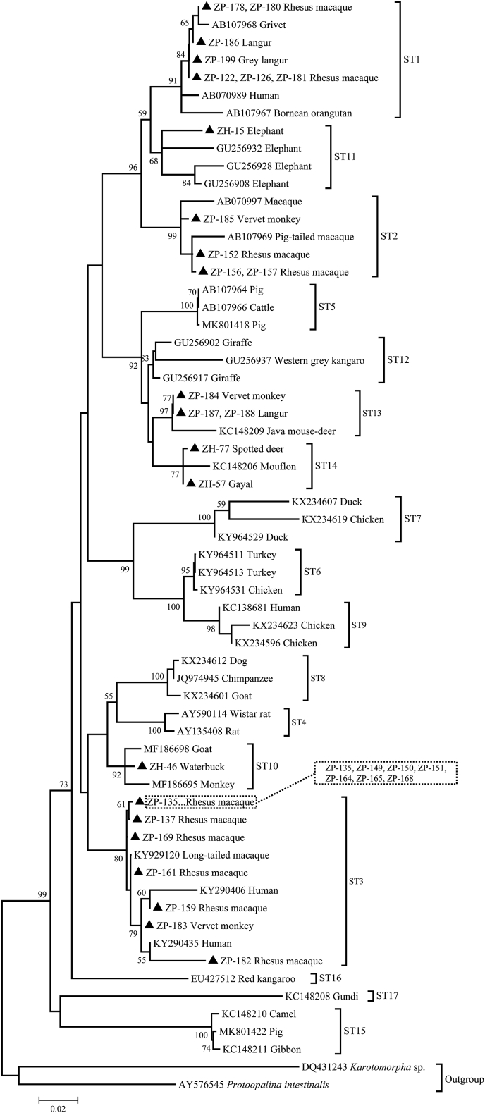 Fig. 1