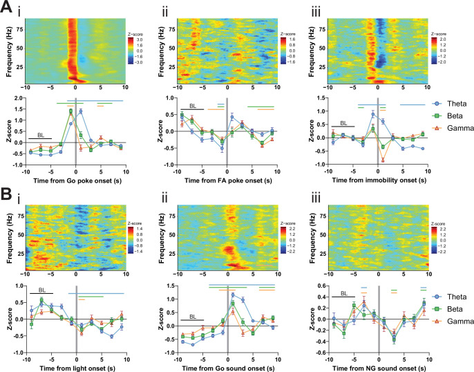 Figure 2—figure supplement 3.