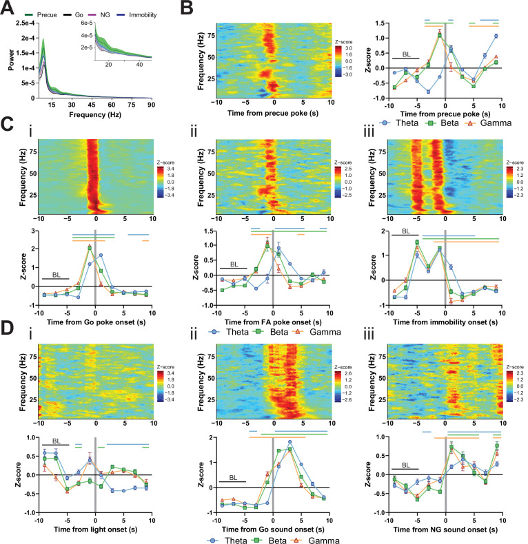 Figure 5—figure supplement 3.