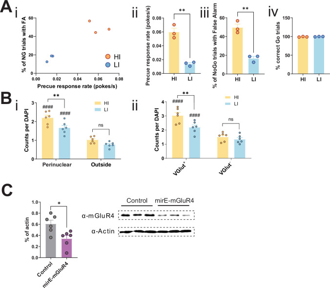 Figure 6—figure supplement 1.