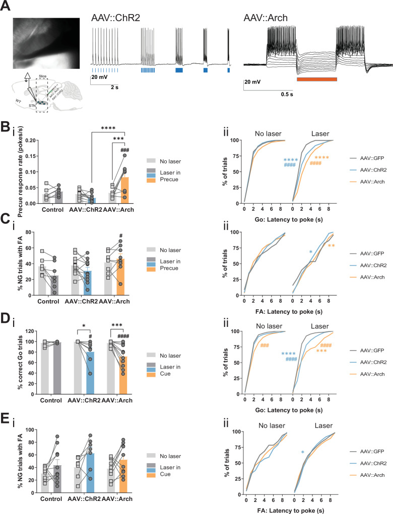 Figure 3—figure supplement 2.