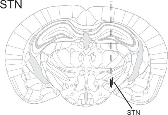 Figure 2—figure supplement 1.