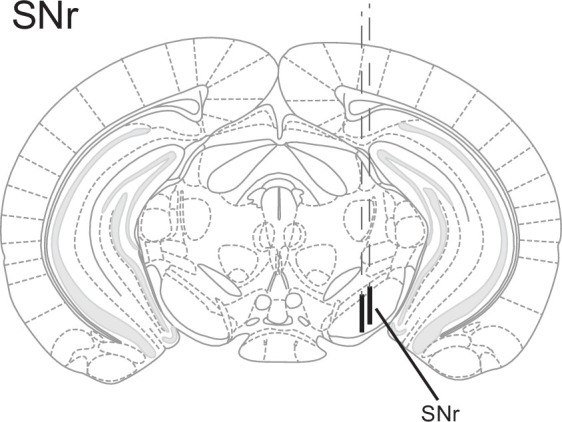 Figure 5—figure supplement 1.