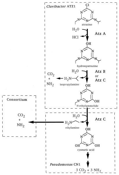 FIG. 6