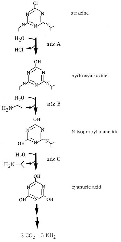 FIG. 1