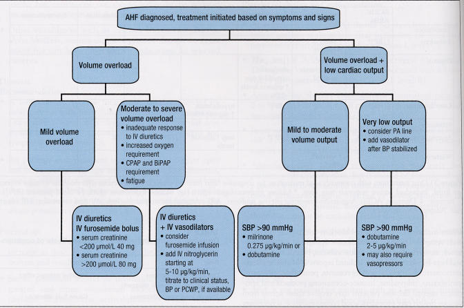 Figure 4)