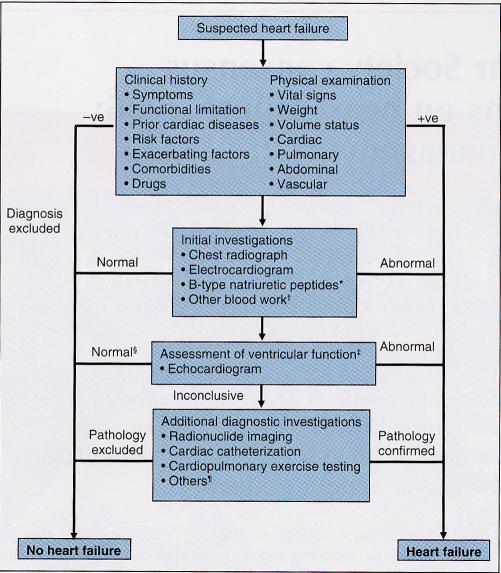 Figure 1)