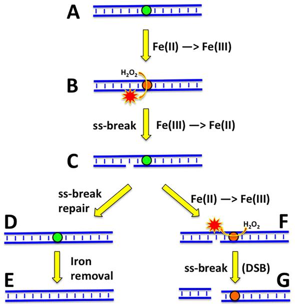 Fig. 9