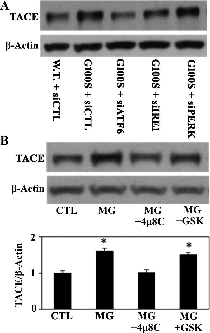 Fig. 9.