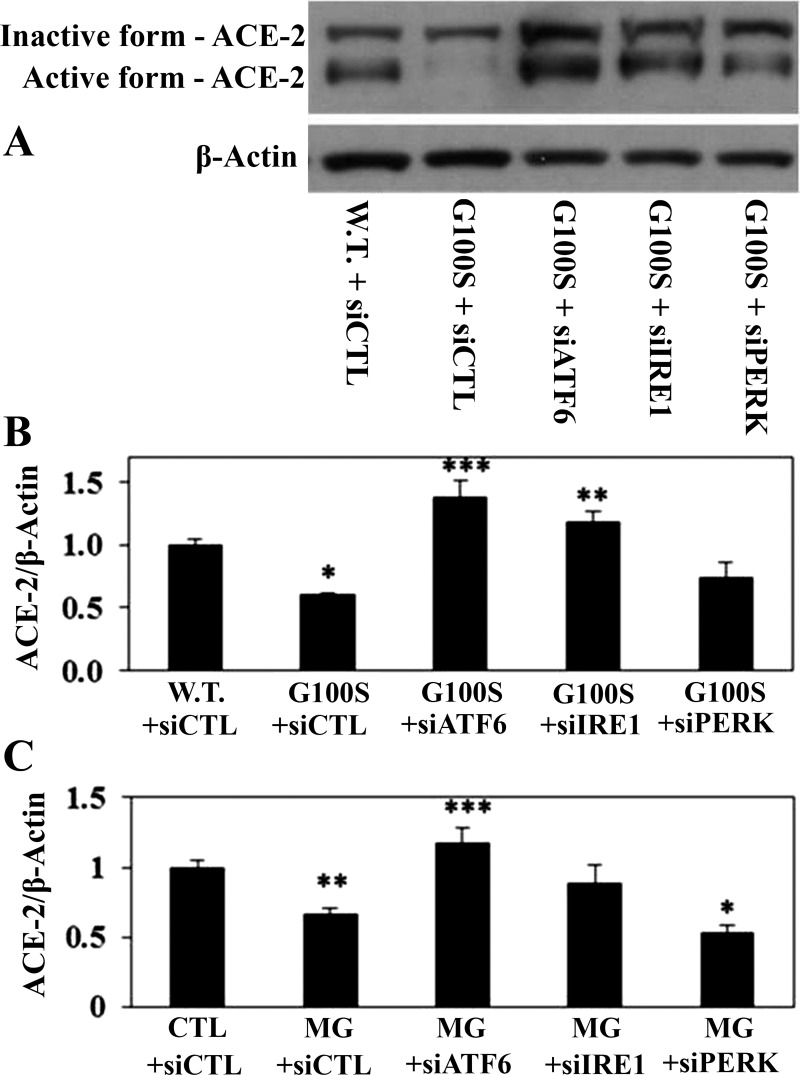 Fig. 8.