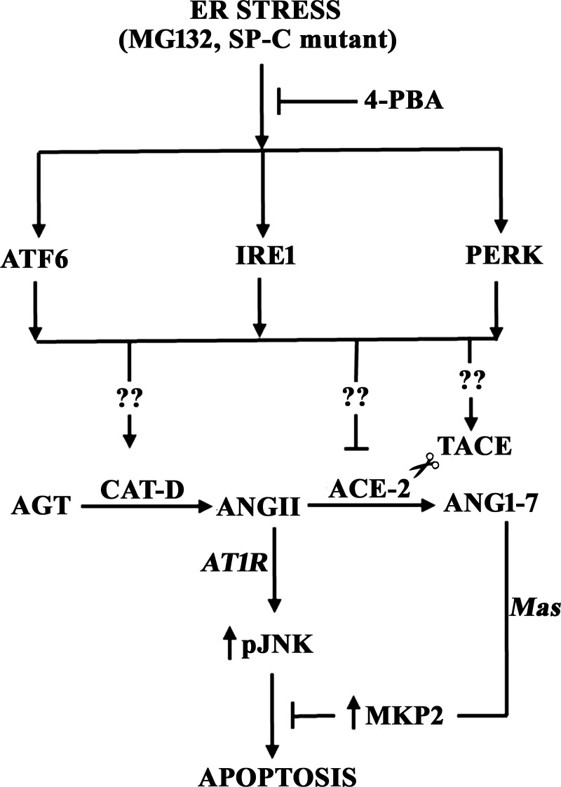 Fig. 10.