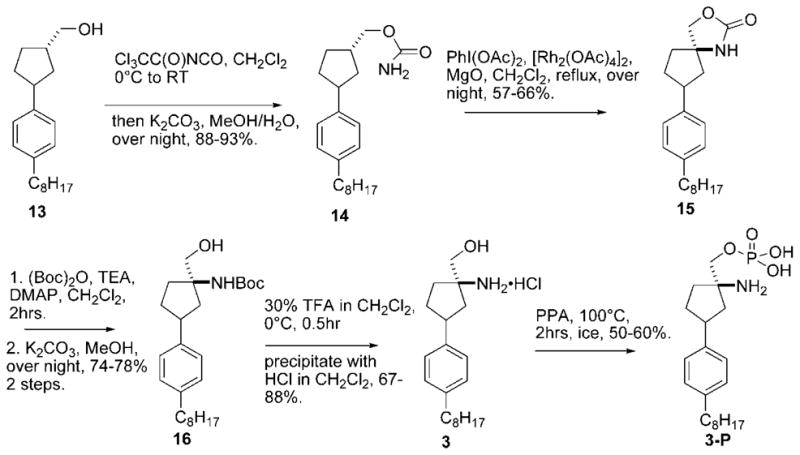 Scheme 2