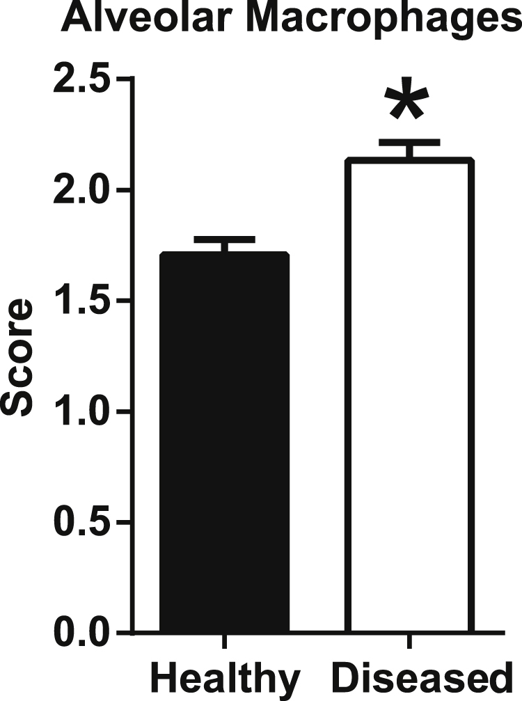 Figure 5