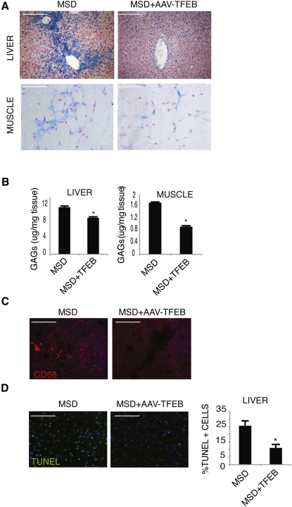 Figure 6