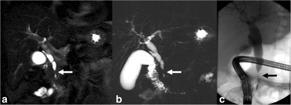 Figure 15