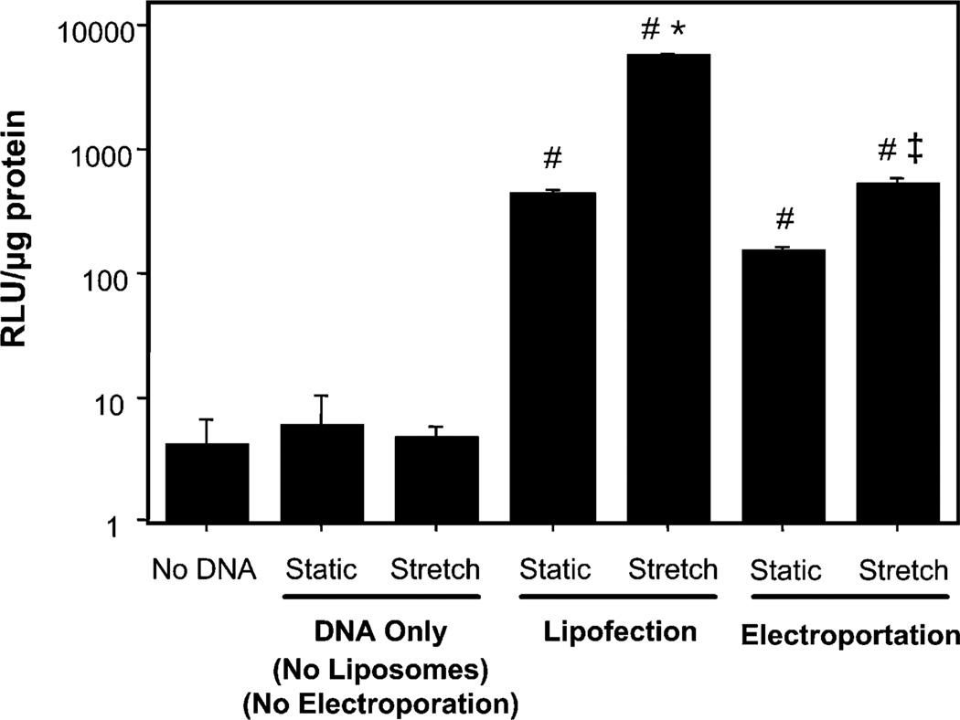 FIG. 7