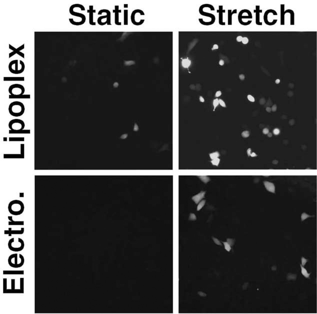 FIG. 4