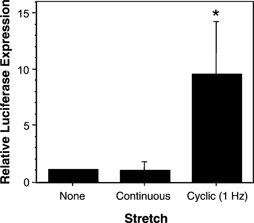 FIG. 6