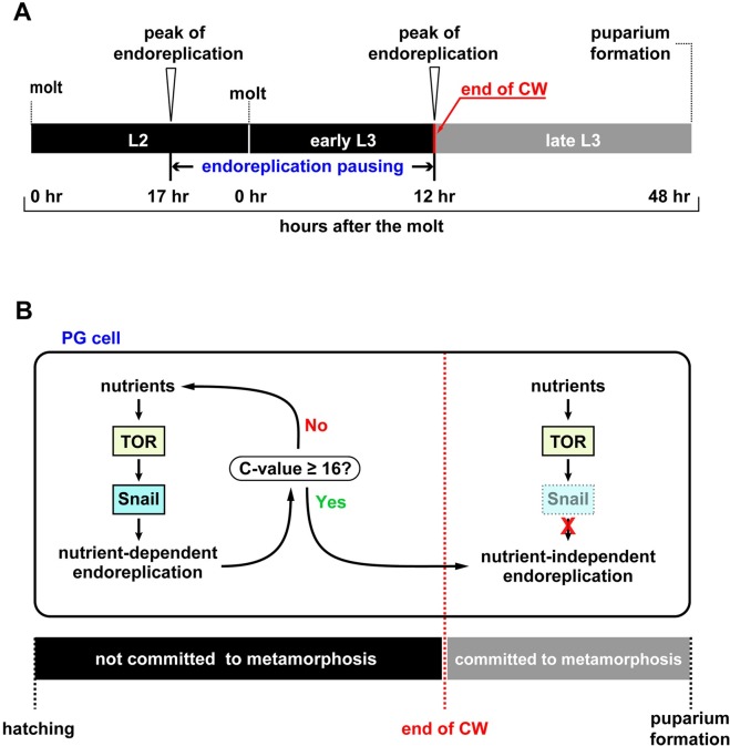 Fig 7