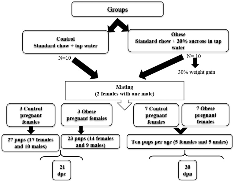 Figure 1.