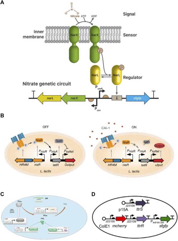 FIGURE 3