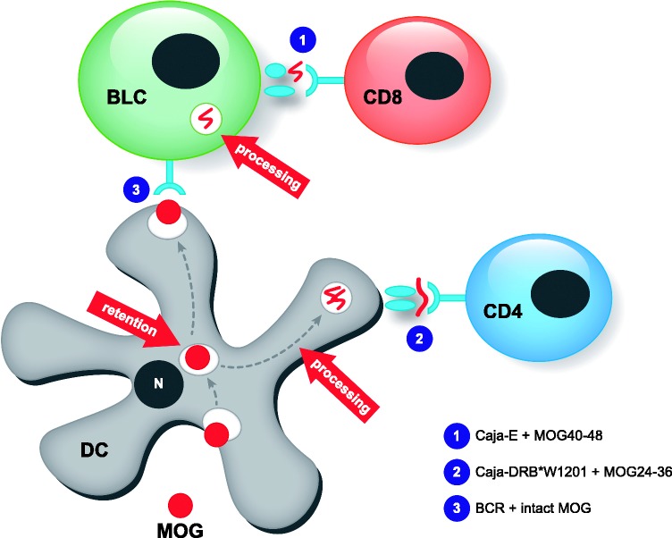 Figure 1.