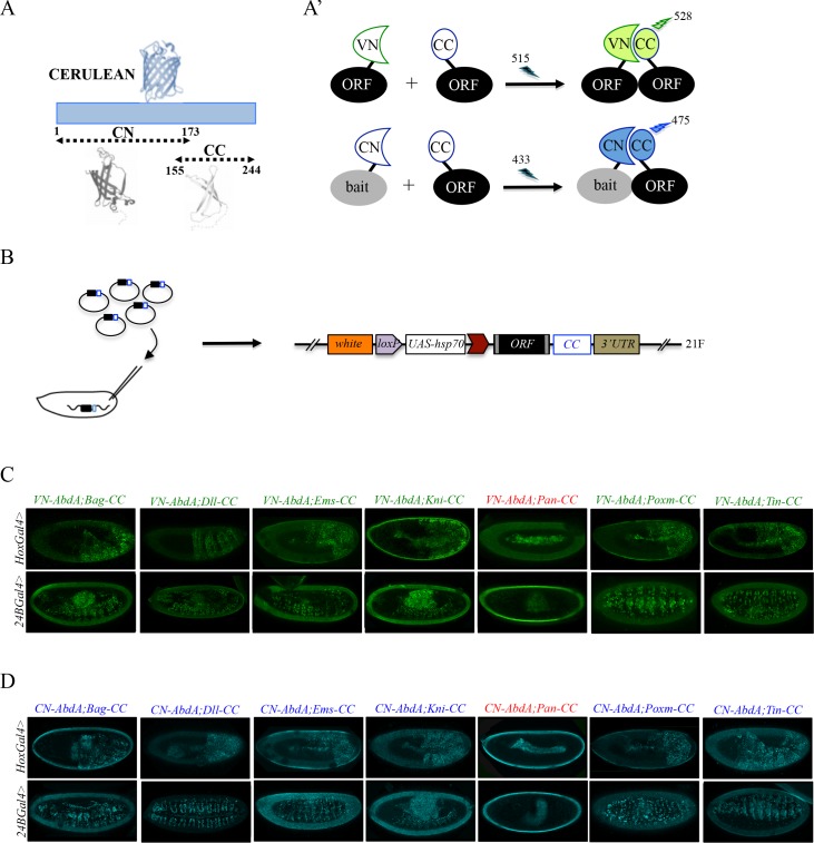 Figure 2.