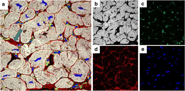 Fig. 4