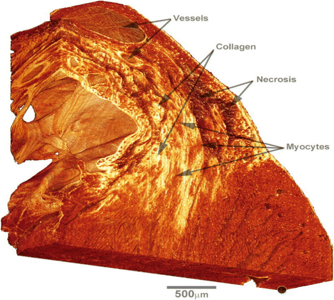 Fig. 6