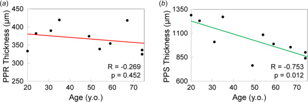 (a) PPR thickness was not correlated with age, while (b) PPS thickness was negatively correlated with age