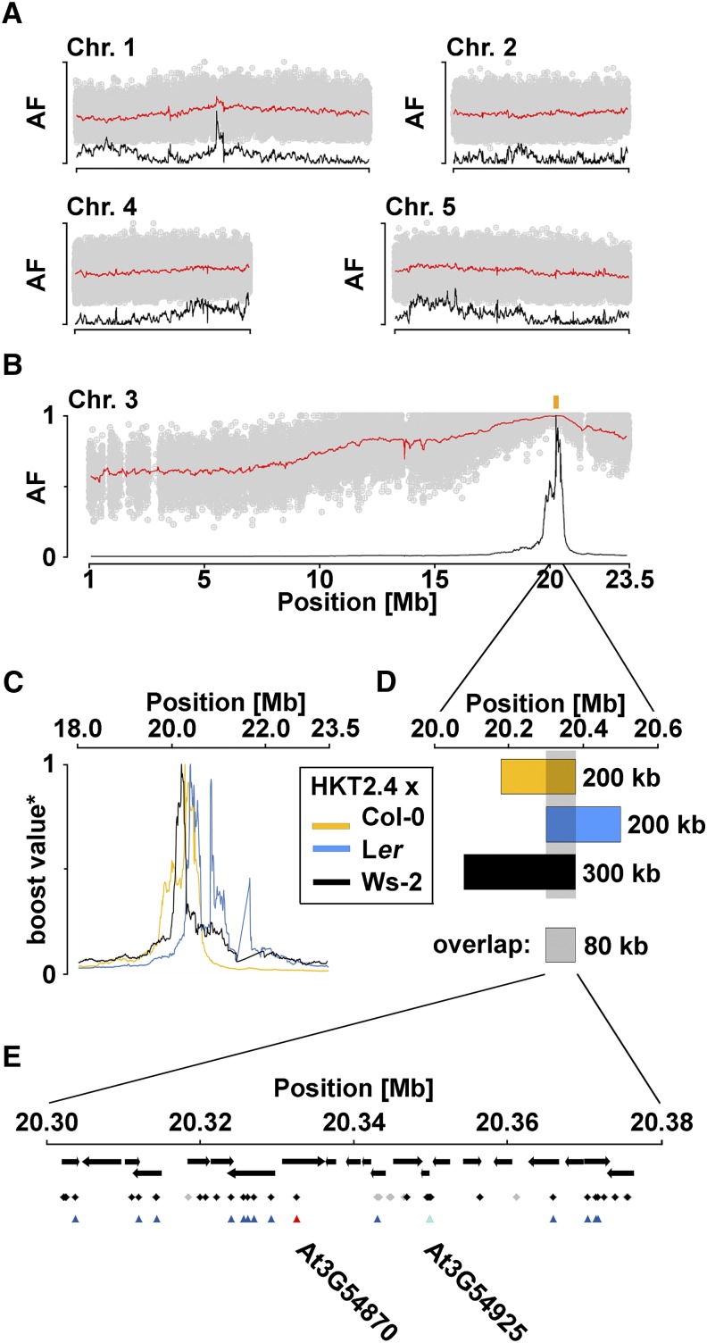 Figure 2.