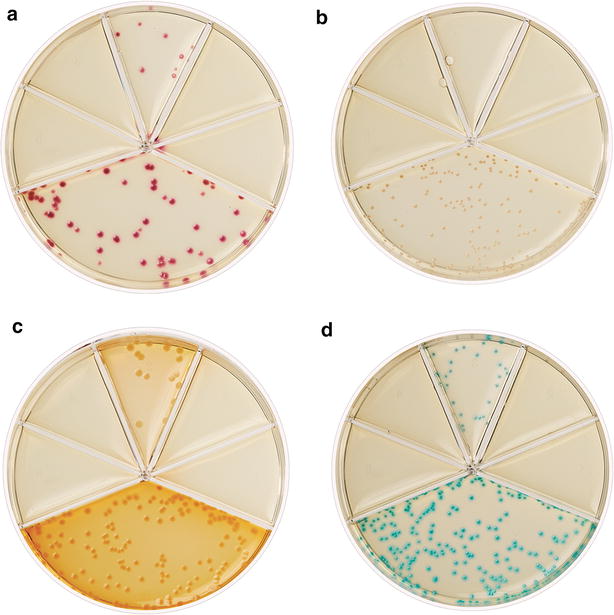 Fig. 3