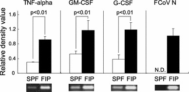 Fig. 4