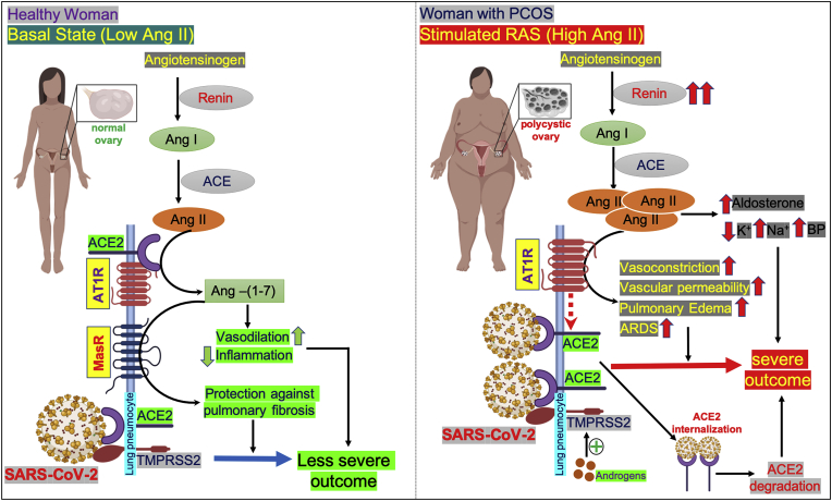 Fig. 2