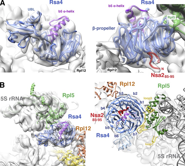 Figure 5.