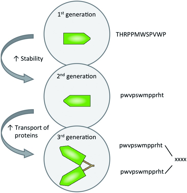 Fig. 2