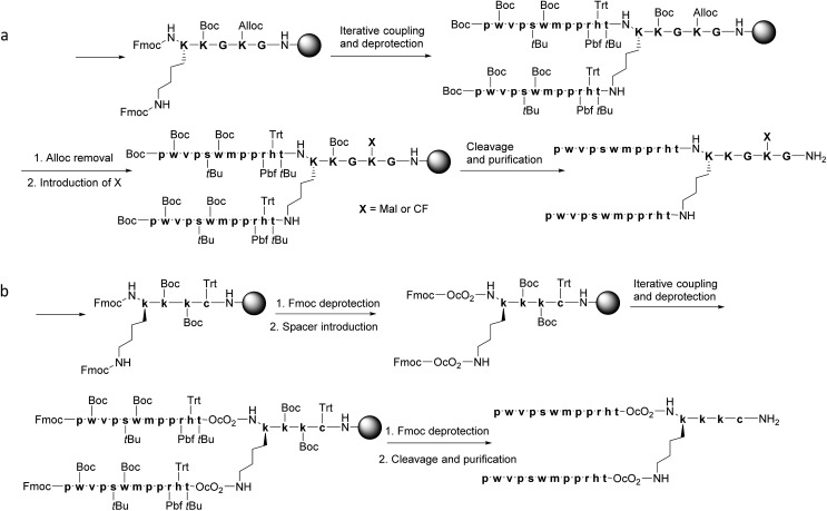 Scheme 1