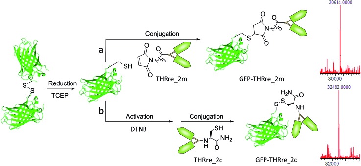 Scheme 2