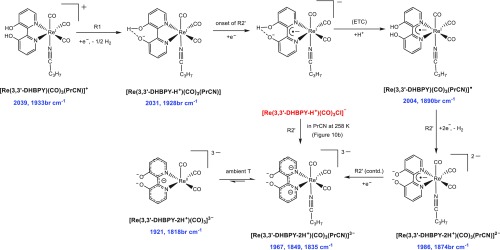 Scheme 4