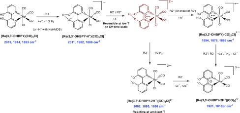 Scheme 3