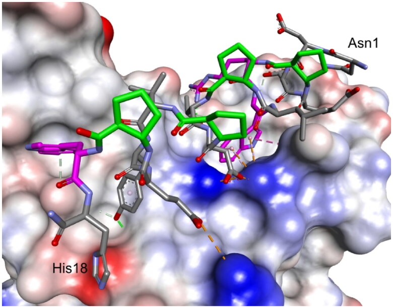 Figure 5.