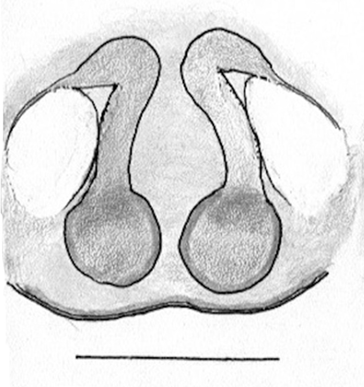 Figure 4c.