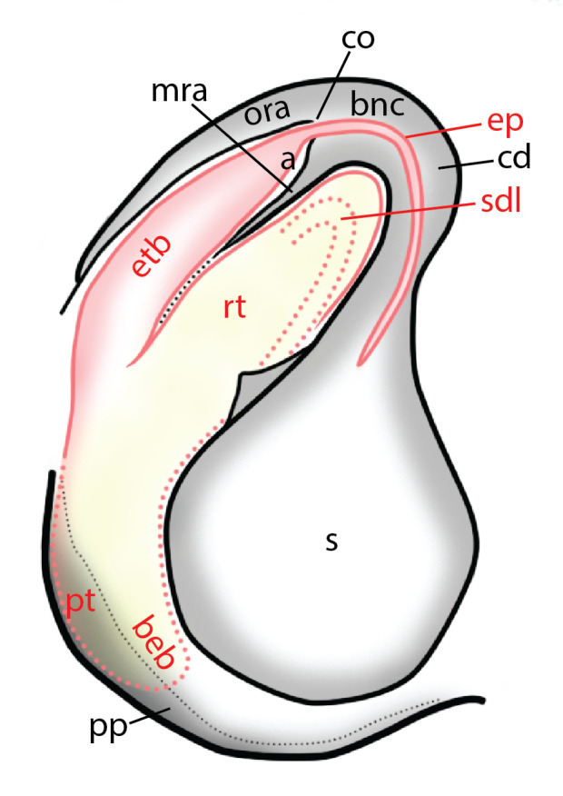 Figure 16.