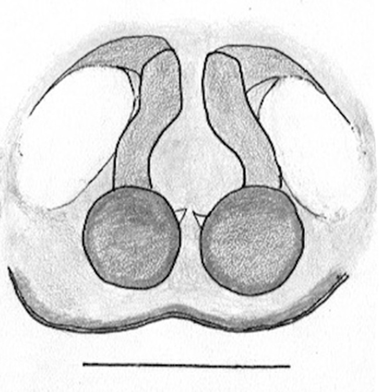 Figure 4d.