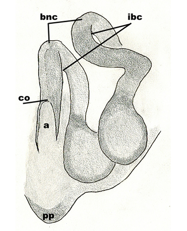 Figure 11d.