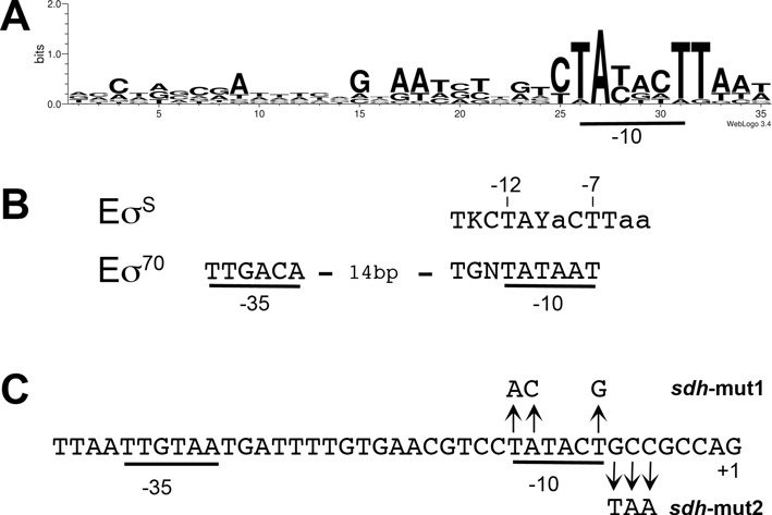 Figure 7.