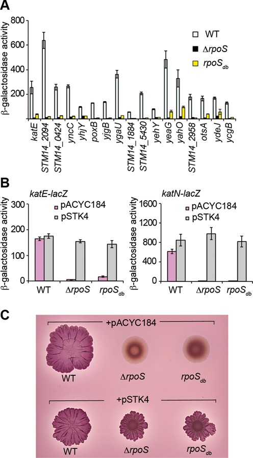 Figure 3.