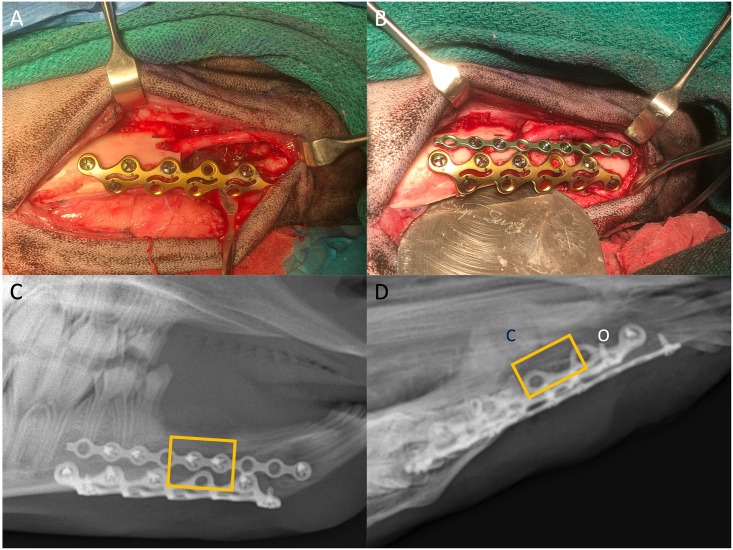 Fig 3