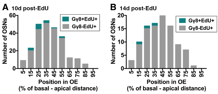 Figure 2: